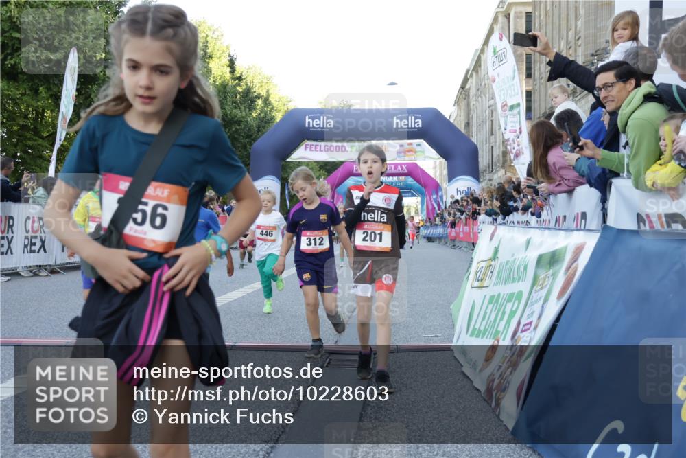 06.09.2026 - CURREX Alsterlauf Yannick Fuchs http://msf.ph/oto/10228603 06.09.2026 10:54:08 Ziel 157, 195, 201, 202, 203, 216, 256, 258, 260, 276, 296, 312, 321, 347, 364, 379, 414, 416, 446, 455, 8253 meine-sportfotos.de