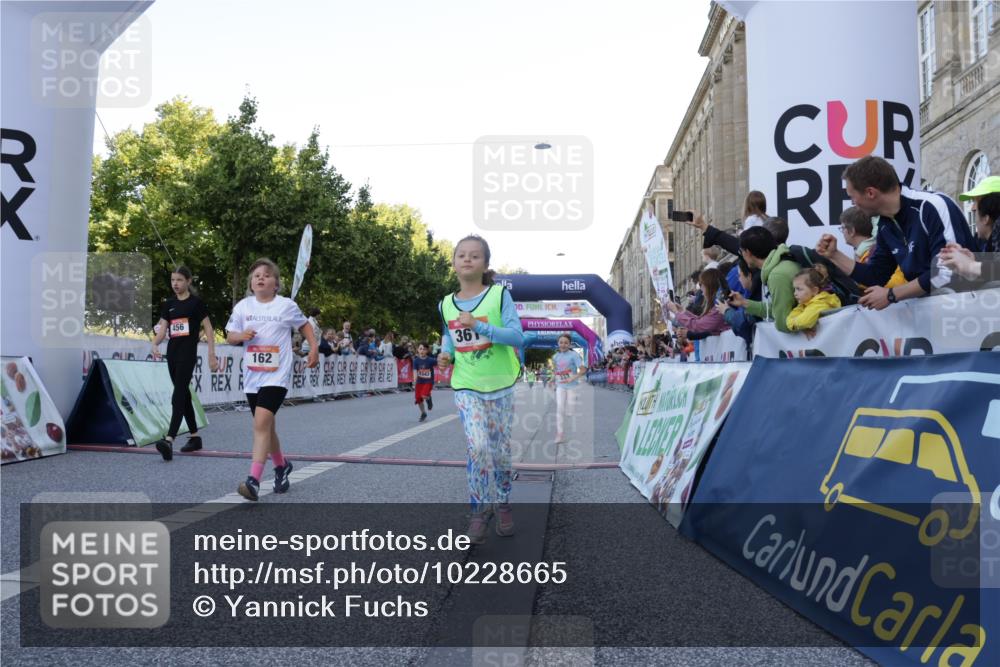 06.09.2026 - CURREX Alsterlauf Yannick Fuchs http://msf.ph/oto/10228665 06.09.2026 10:54:30 Ziel 162, 179, 207, 239, 240, 278, 284, 297, 304, 318, 326, 329, 333, 343, 357, 361, 367, 387, 390, 456, 8343 meine-sportfotos.de