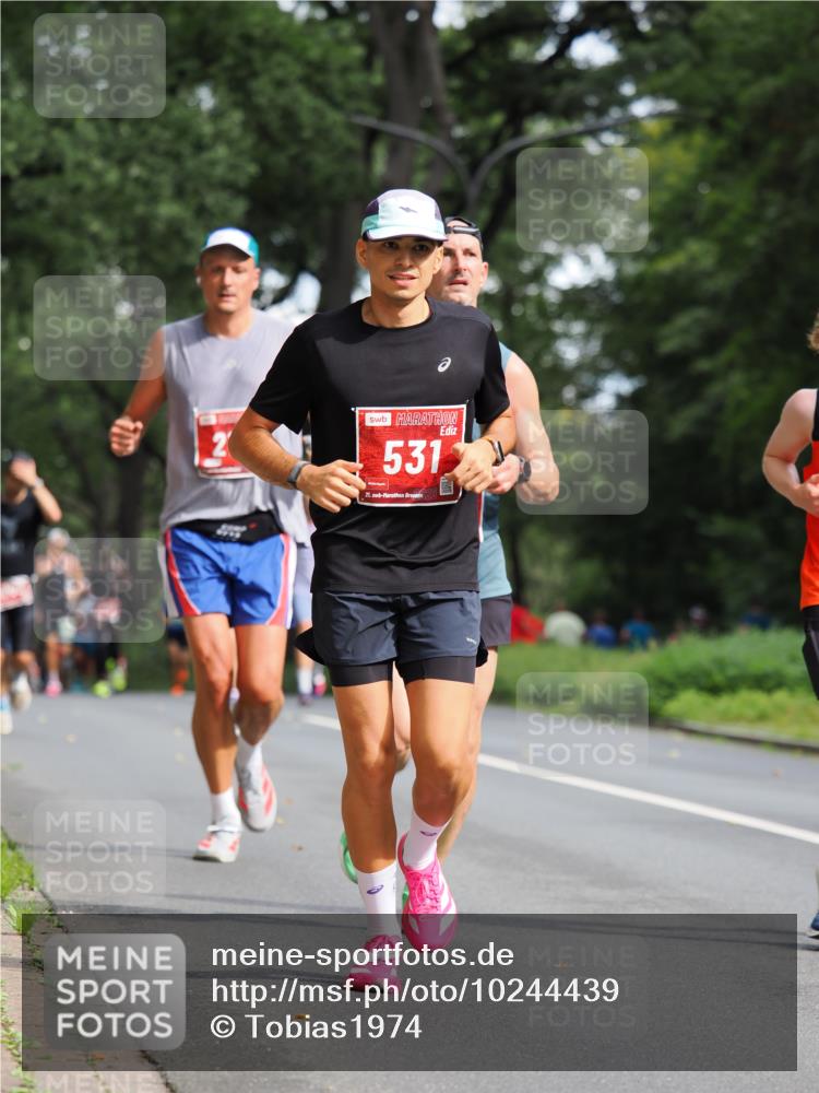 13.09.2026 - 21. swb-Marathon Bremen TobiasT http://msf.ph/oto/10244439 13.09.2026 11:49:35 Laufen 2, 531, 21, 40 meine-sportfotos.de