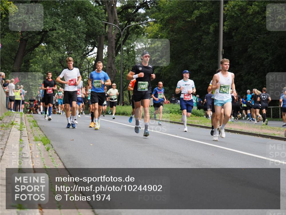 13.09.2026 - 21. swb-Marathon Bremen TobiasT http://msf.ph/oto/10244902 13.09.2026 11:53:11 Laufen 488, 183, 4239, 442, 3988, 1516, 7621 meine-sportfotos.de