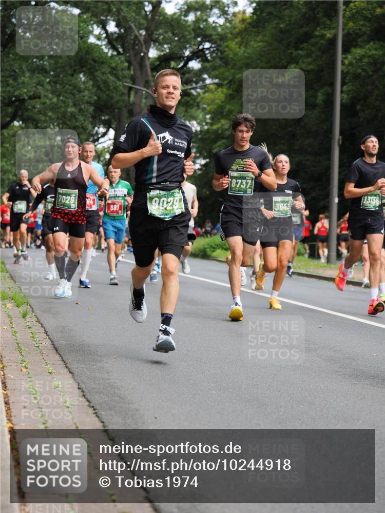 13.09.2026 - 21. swb-Marathon Bremen TobiasT http://msf.ph/oto/10244918 13.09.2026 11:53:22 Laufen 7029, 85, 881, 9029, 8737, 3043, 13136 meine-sportfotos.de