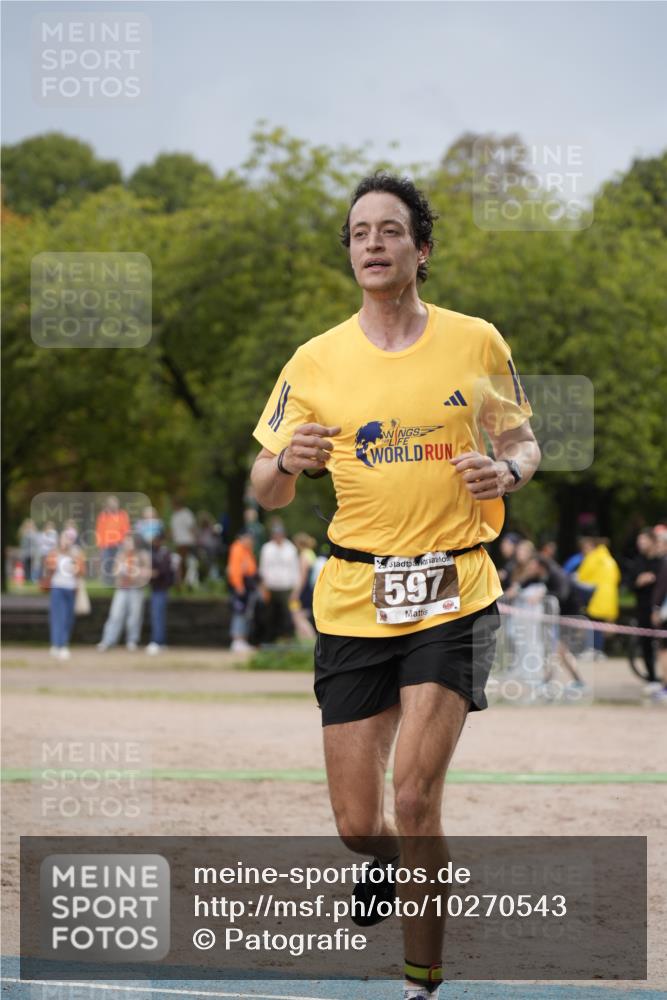 13.09.2026 - Stadtparktriathlon Patografie http://msf.ph/oto/10270543 13.09.2026 11:56:56 Ziel 503, 597 meine-sportfotos.de