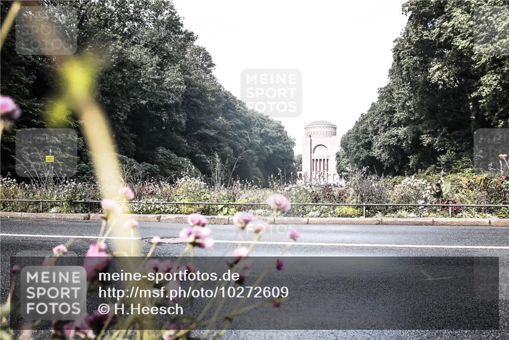 13.09.2026 - Stadtparktriathlon H.Heesch http://msf.ph/oto/10272609 13.09.2026 10:41:25 Radfahren 366, 401 meine-sportfotos.de
