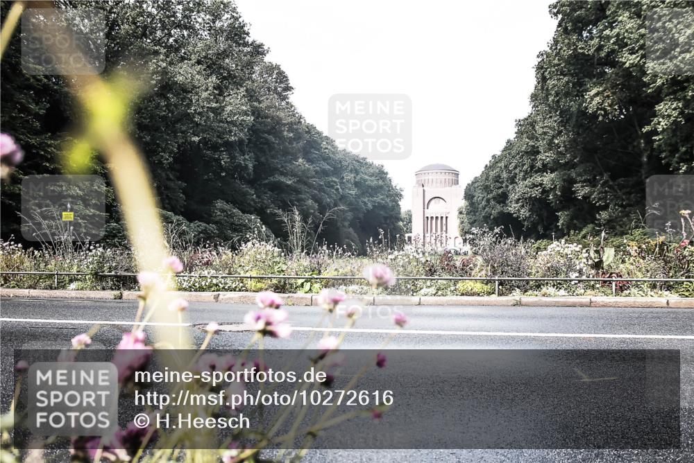 13.09.2026 - Stadtparktriathlon H.Heesch http://msf.ph/oto/10272616 13.09.2026 10:41:34 Radfahren 368, 387, 395, 538 meine-sportfotos.de