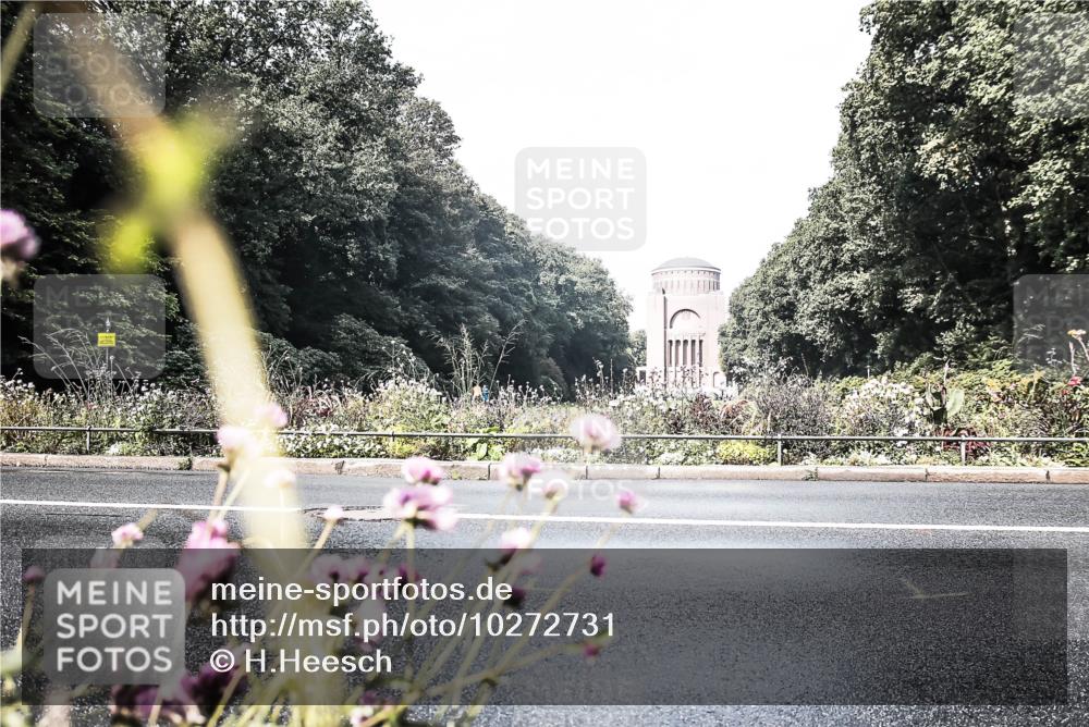 13.09.2026 - Stadtparktriathlon H.Heesch http://msf.ph/oto/10272731 13.09.2026 10:42:48 Radfahren 481 meine-sportfotos.de