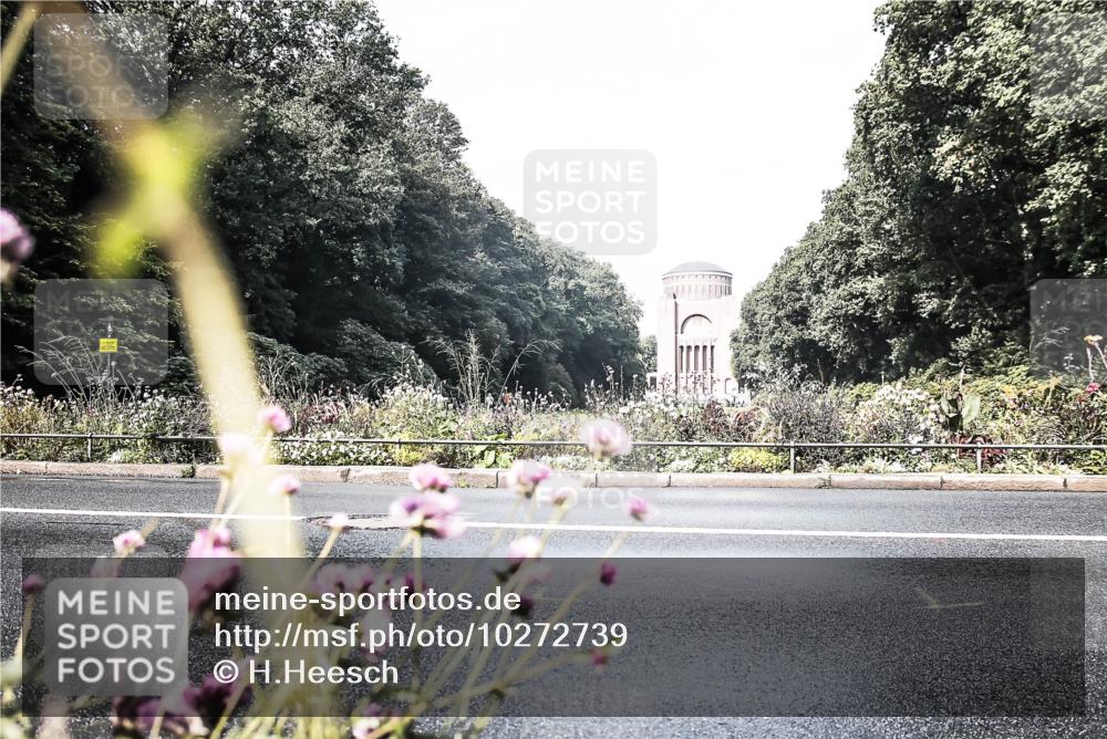 13.09.2026 - Stadtparktriathlon H.Heesch http://msf.ph/oto/10272739 13.09.2026 10:42:52 Radfahren 276, 380, 481, 542 meine-sportfotos.de