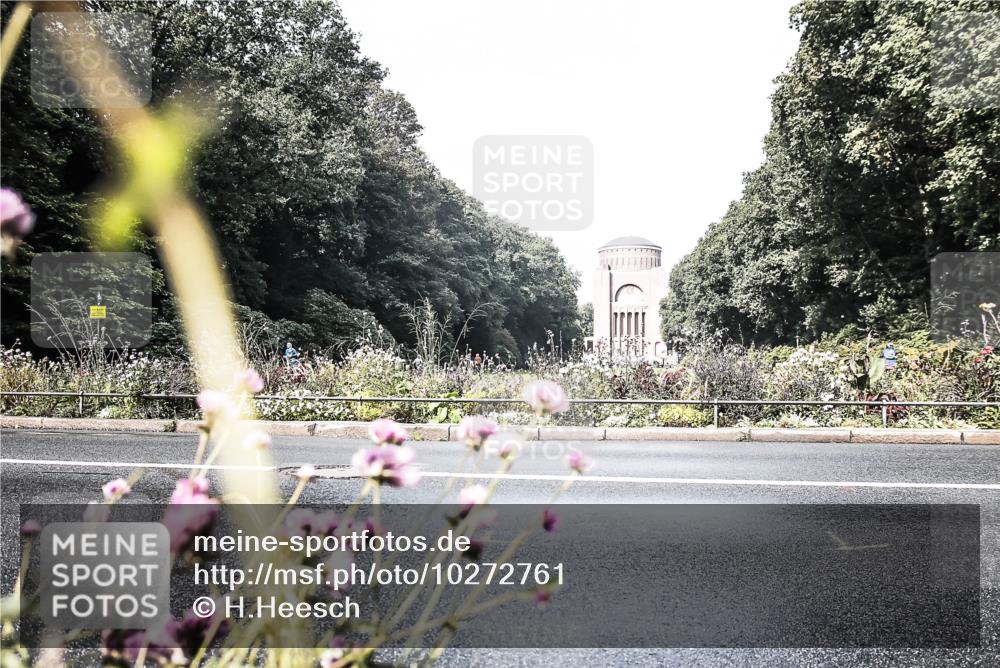 13.09.2026 - Stadtparktriathlon H.Heesch http://msf.ph/oto/10272761 13.09.2026 10:42:58 Radfahren 276, 364, 380, 437, 444, 542 meine-sportfotos.de