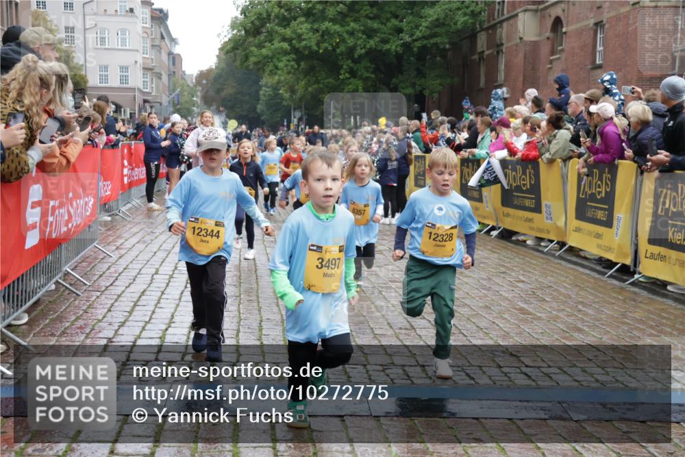 13.09.2026 - Kiel Lauf Yannick Fuchs http://msf.ph/oto/10272775 13.09.2026 08:35:34 Ziel 165, 865, 1152, 1216, 1308, 1691, 2018, 2207, 2619, 2652, 3144, 3160, 3556, 4030, 4319, 4381, 4924, 5090, 5245, 5343, 5853, 6833, 7628, 8009, 8301, 8340, 8539, 8556, 8815, 8823, 8988, 9009, 9228, 9950, 10294, 10727, 10858, 10958, 11247, 11307, 11375, 11844, 11918, 12505, 192, 230, 242, 434, 717, 756, 782, 809, 1116, 1148, 1269, 1764, 2005, 2071, 2207, 2495, 2582, 2715, 2736, 2774, 2917, 2987, 4418, 4695, 4696, 4990, 5066, 5076, 5091, 5581, 5583 meine-sportfotos.de