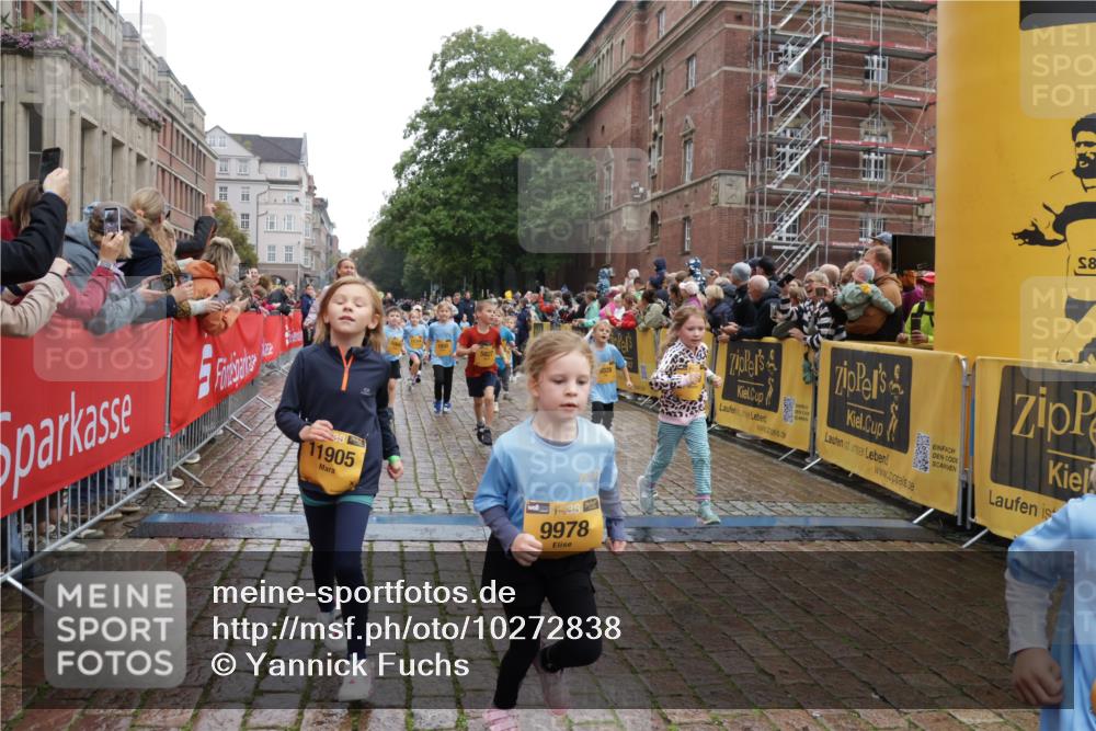 13.09.2026 - Kiel Lauf Yannick Fuchs http://msf.ph/oto/10272838 13.09.2026 08:35:36 Ziel 165, 705, 865, 1152, 1216, 1308, 2018, 2619, 2684, 3144, 3160, 3542, 3556, 3560, 4030, 4319, 4381, 4603, 4924, 5090, 5245, 5343, 5853, 6833, 7628, 8009, 8301, 8340, 8539, 8556, 8815, 8823, 8988, 9009, 9228, 9270, 9322, 10294, 10727, 10858, 10958, 11247, 11307, 11375, 11844, 11918, 12505, 192, 230, 242, 434, 782, 809, 865, 1116, 1148, 1691, 1764, 2071, 2207, 2495, 2582, 2652, 2715, 2736, 2774, 2917, 2987, 4381, 4418, 4695, 4990, 5066, 5076, 5091, 5581, 5583, 2917, 10875 meine-sportfotos.de