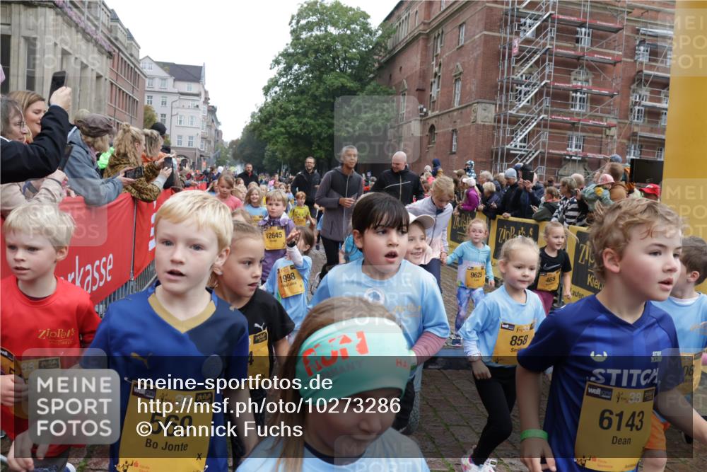 13.09.2026 - Kiel Lauf Yannick Fuchs http://msf.ph/oto/10273286 13.09.2026 08:36:03 Ziel 119, 440, 690, 832, 1690, 2618, 2621, 2882, 2911, 3053, 3100, 3746, 3762, 5146, 5181, 5308, 5566, 5905, 5990, 6171, 6446, 6508, 6589, 6741, 7383, 7573, 7781, 8638, 9023, 9026, 9234, 9252, 10043, 10147, 10351, 10576, 10642, 10922, 11203, 11639, 12203, 12227, 12336, 12558, 165, 304, 705, 741, 1152, 1216, 1240, 1308, 1516, 1850, 2018, 2619, 2684, 3144, 3236, 3556, 4030, 4319, 4924, 5090, 5245, 5343, 5853, 6833, 7628, 8301, 8340, 8539, 8815, 8988, 464, 569, 740, 858, 865, 3160 meine-sportfotos.de