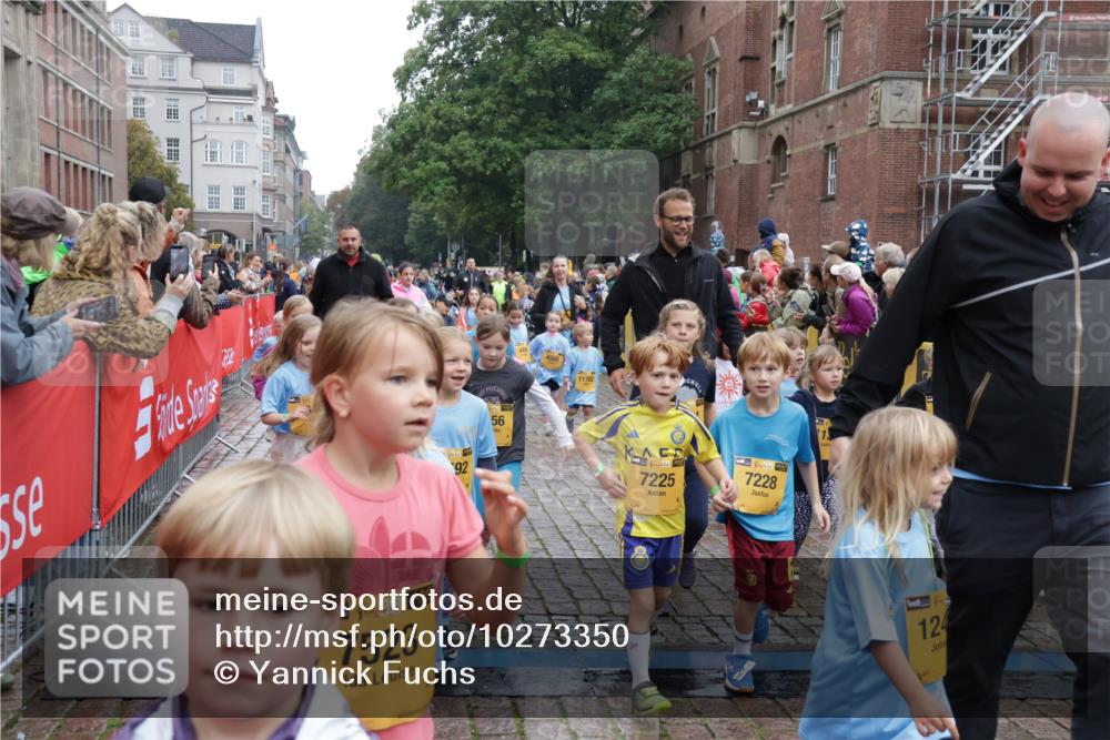 13.09.2026 - Kiel Lauf Yannick Fuchs http://msf.ph/oto/10273350 13.09.2026 08:36:06 Ziel 119, 440, 690, 832, 1551, 1552, 1690, 2618, 2621, 2882, 2911, 3053, 3100, 3746, 3762, 5146, 5181, 5308, 5905, 5990, 6022, 6171, 6446, 6508, 6589, 6741, 7383, 7573, 7781, 7842, 8638, 9023, 9026, 9234, 9252, 10043, 10147, 10351, 10576, 10642, 11203, 11639, 12203, 12336, 12558, 165, 304, 705, 741, 1152, 1240, 1516, 1850, 2018, 2619, 2684, 3236, 3556, 4030, 4319, 4924, 5245, 5343, 5853, 8301, 8539, 8988, 464, 569, 740, 858, 865, 3160 meine-sportfotos.de