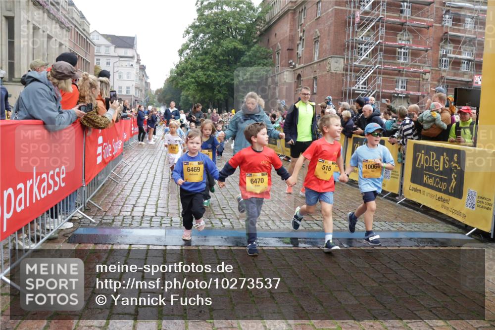 13.09.2026 - Kiel Lauf Yannick Fuchs http://msf.ph/oto/10273537 13.09.2026 08:36:16 Ziel 71, 308, 440, 464, 465, 569, 690, 740, 832, 858, 923, 1551, 1552, 1648, 2310, 2328, 2621, 3053, 3149, 3434, 3656, 3689, 3746, 4002, 4007, 4473, 4474, 5308, 5481, 5486, 5499, 5842, 6022, 6101, 6143, 6171, 6491, 6838, 7128, 7147, 7225, 7228, 7523, 7629, 7634, 7679, 7842, 7908, 8228, 8267, 8638, 8961, 9252, 9625, 9794, 10111, 10140, 10147, 10712, 11355, 11577, 12239, 12336, 12447, 12558, 12645, 119, 304, 741, 832, 1240, 1516, 1690, 1850, 2618, 2882, 2911, 3053, 3236 meine-sportfotos.de
