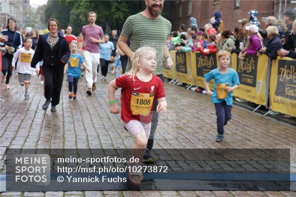 13.09.2026 - Kiel Lauf Yannick Fuchs http://msf.ph/oto/10273872 13.09.2026 08:36:28 Ziel 308, 516, 874, 923, 1407, 1648, 1727, 1829, 1875, 3246, 3434, 3532, 3656, 3868, 4495, 4500, 5658, 5842, 6308, 6452, 6469, 6470, 6474, 6475, 7136, 7225, 7228, 7523, 7629, 7679, 7811, 9505, 9794, 10064, 10140, 10712, 11355, 11592, 11782, 12239, 12504, 12645, 71, 119, 440, 464, 465, 569, 690, 740, 832, 858, 1551, 1552, 1690, 2310, 2328, 2618, 2621, 2882, 2911, 3053, 3149, 3434, 3689, 4002, 4007, 4473, 4474, 5481, 5486, 5499, 6022, 6101, 6143, 6491, 7128, 1031 meine-sportfotos.de
