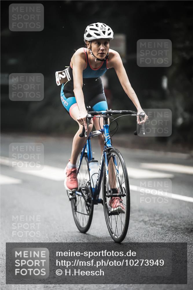 13.09.2026 - Stadtparktriathlon H.Heesch http://msf.ph/oto/10273949 13.09.2026 10:28:25 Radfahren 253, 267, 270, 273, 286, 346, 372, 376, 383, 406, 414, 434 meine-sportfotos.de