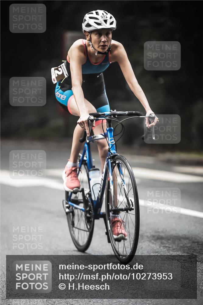 13.09.2026 - Stadtparktriathlon H.Heesch http://msf.ph/oto/10273953 13.09.2026 10:28:25 Radfahren 253, 267, 270, 273, 286, 346, 372, 376, 383, 406, 414, 434 meine-sportfotos.de
