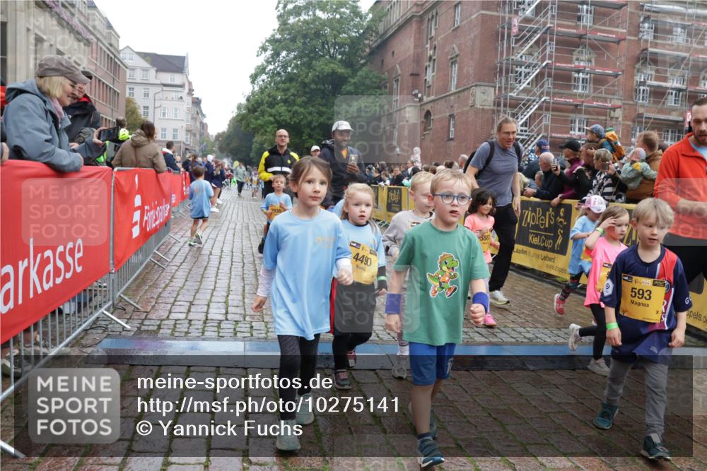 13.09.2026 - Kiel Lauf Yannick Fuchs http://msf.ph/oto/10275141 13.09.2026 08:37:35 Ziel 52, 1212, 1221, 2036, 2858, 3071, 3262, 3521, 4379, 5186, 5290, 6149, 6457, 6458, 6624, 9941, 12066, 12470, 12651, 12657, 12838, 82, 751, 781, 873, 910, 1055, 1233, 1283, 2025, 2229, 2552, 2567, 3252, 3815, 4018, 4705, 5096, 5275, 5288, 5617, 5722, 6272, 6358, 6440, 6817, 7146, 7176, 7183, 7184, 7838, 8070, 8184, 8243, 8258, 8471, 8612, 8650, 8653, 8907, 9233, 9303, 9422, 9586, 10221, 10714, 10800, 11206, 11236, 11487, 11563, 11806, 12469 meine-sportfotos.de