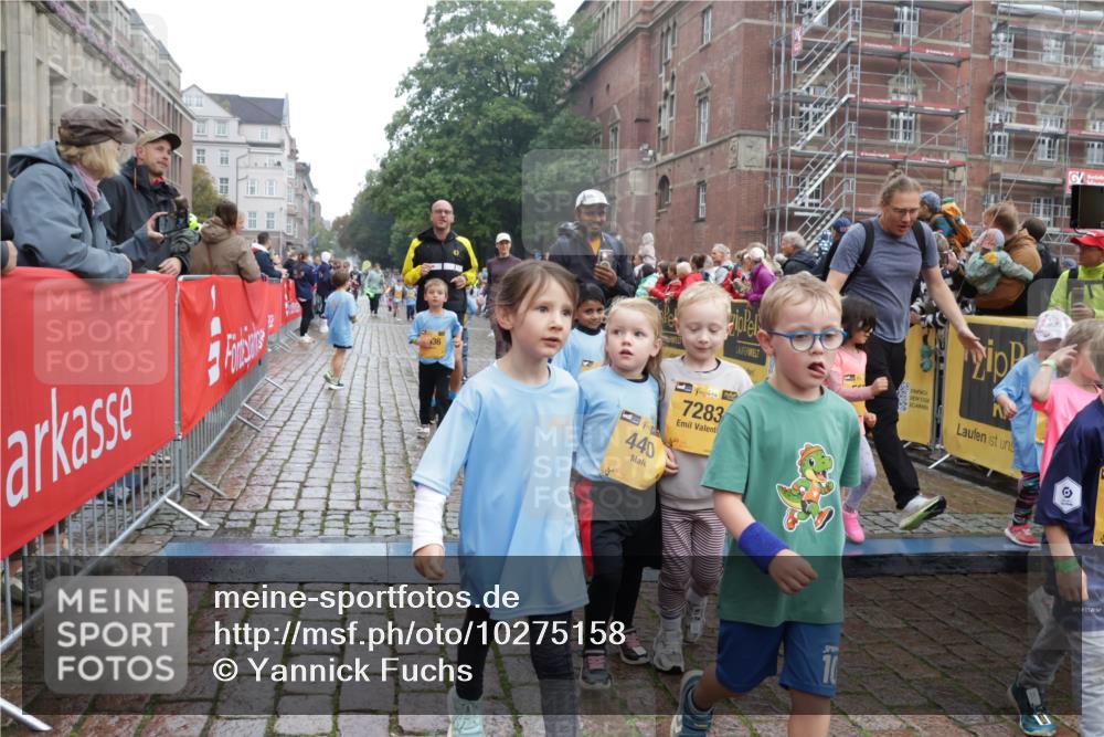 13.09.2026 - Kiel Lauf Yannick Fuchs http://msf.ph/oto/10275158 13.09.2026 08:37:36 Ziel 52, 1212, 1221, 2036, 2858, 3071, 3262, 3521, 4379, 5186, 5290, 6149, 6457, 6458, 6624, 9941, 12066, 12470, 12651, 12657, 12838, 82, 751, 781, 873, 910, 1055, 1233, 1283, 2025, 2229, 2552, 2567, 3252, 3815, 4018, 4705, 5288, 5617, 5722, 6272, 6358, 6440, 6817, 7146, 7176, 7183, 7184, 7838, 8070, 8184, 8243, 8258, 8612, 8650, 8653, 8907, 9233, 9303, 9422, 9586, 10221, 10714, 10800, 11206, 11236, 11487, 11563, 11806, 12469, 2936, 910, 3815 meine-sportfotos.de