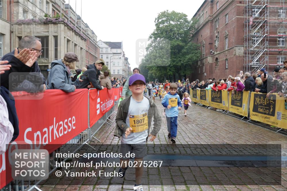 13.09.2026 - Kiel Lauf Yannick Fuchs http://msf.ph/oto/10275267 13.09.2026 08:37:47 Ziel 236, 278, 593, 1214, 1621, 2858, 5199, 5709, 5887, 6149, 6458, 7283, 7612, 9887, 10478, 11899, 52, 751, 781, 1055, 1212, 1221, 1233, 2025, 2036, 2229, 2567, 3071, 3252, 3262, 3521, 4018, 4379, 4705, 5186, 5290, 5722, 6272, 6358, 6457, 6624, 7146, 7183, 7184, 8258, 8612, 8907, 9941, 10221, 10714, 10800, 11236, 11487, 12066, 12469, 12470, 12651, 12657, 12838, 1807, 2936, 7477, 9791, 9921, 11412, 11810, 82, 873, 1055, 1283, 2229, 4018, 5288, 5617, 6440, 7146, 8612, 8907 meine-sportfotos.de