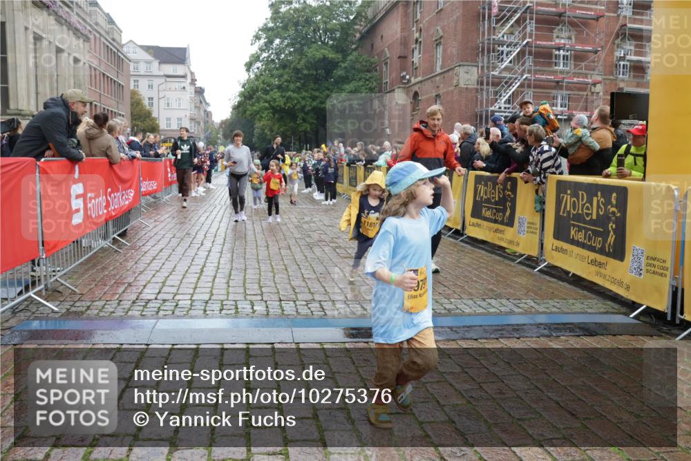 13.09.2026 - Kiel Lauf Yannick Fuchs http://msf.ph/oto/10275376 13.09.2026 08:37:53 Ziel 236, 278, 593, 1621, 2936, 4490, 5199, 5709, 5887, 7283, 7612, 9887, 10478, 11899, 52, 751, 781, 1212, 1214, 1221, 1233, 2025, 2036, 2567, 2858, 3071, 3252, 3262, 3521, 4379, 5186, 5290, 5722, 6149, 6272, 6358, 6457, 6458, 6624, 7183, 7184, 9941, 10800, 11487, 12066, 12469, 12470, 12651, 12657, 12838, 1807, 4085, 4734, 7477, 8382, 8428, 9791, 9921, 11412, 11810, 12581, 751, 1055, 2229, 2567, 3252, 4018, 4705, 5722, 6272, 6358, 7146, 7183, 7184, 8612, 8907, 10800, 11236 meine-sportfotos.de
