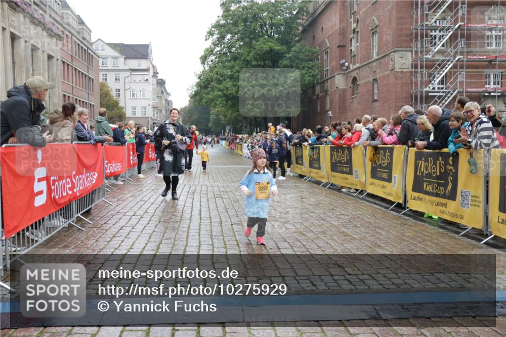 13.09.2026 - Kiel Lauf Yannick Fuchs http://msf.ph/oto/10275929 13.09.2026 08:38:59 Ziel 2355, 5216, 2355, 4423, 9149, 10005, 5267, 4423 meine-sportfotos.de