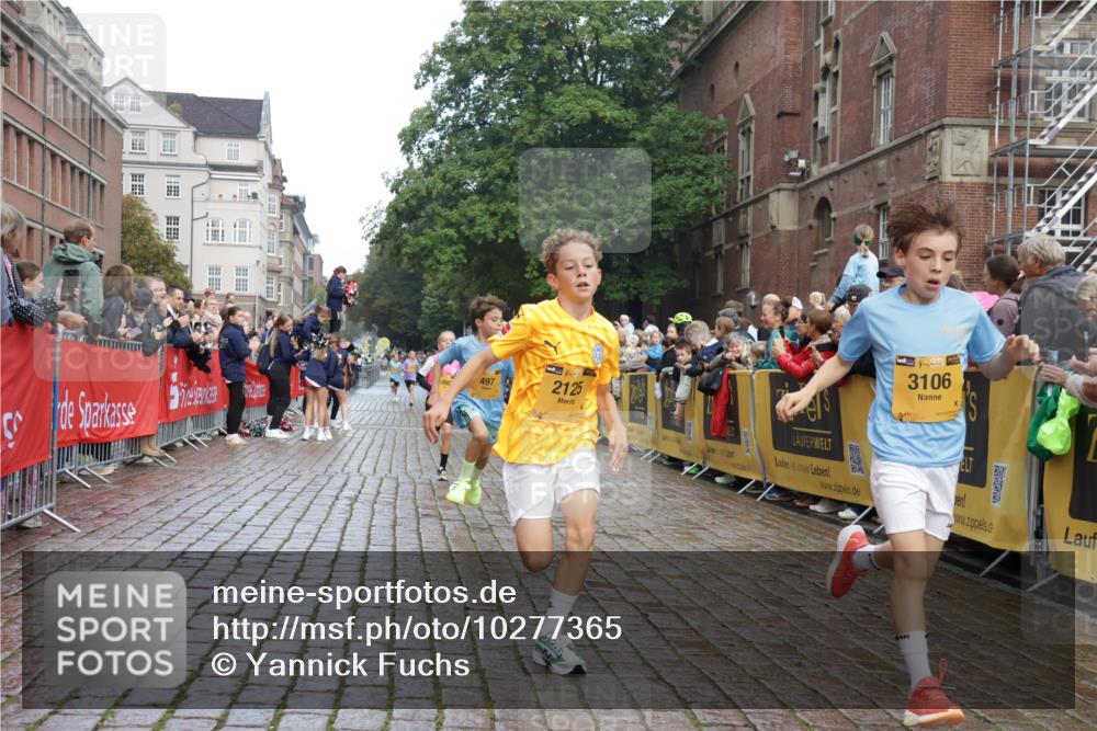 13.09.2026 - Kiel Lauf Yannick Fuchs http://msf.ph/oto/10277365 13.09.2026 08:50:28 Ziel 3487, 7511, 10359, 1710, 2909, 3167, 5168, 5258, 8786, 11542, 497, 2125, 2443, 3106, 5792, 9612, 10987, 10319 meine-sportfotos.de