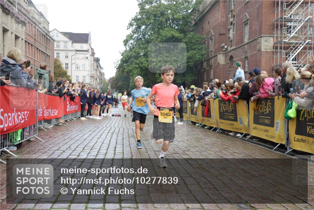 13.09.2026 - Kiel Lauf Yannick Fuchs http://msf.ph/oto/10277839 13.09.2026 08:50:55 Ziel 496, 497, 2125, 2343, 3106, 5959, 9612, 10957, 10987, 2125, 2443, 3106, 3487, 5792, 7511, 10359, 1238, 1724, 5010, 7033, 10463, 10970, 11688, 3167, 3487 meine-sportfotos.de