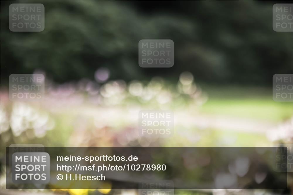 13.09.2026 - Stadtparktriathlon H.Heesch http://msf.ph/oto/10278980 13.09.2026 10:44:23 Radfahren 342, 499, 582 meine-sportfotos.de