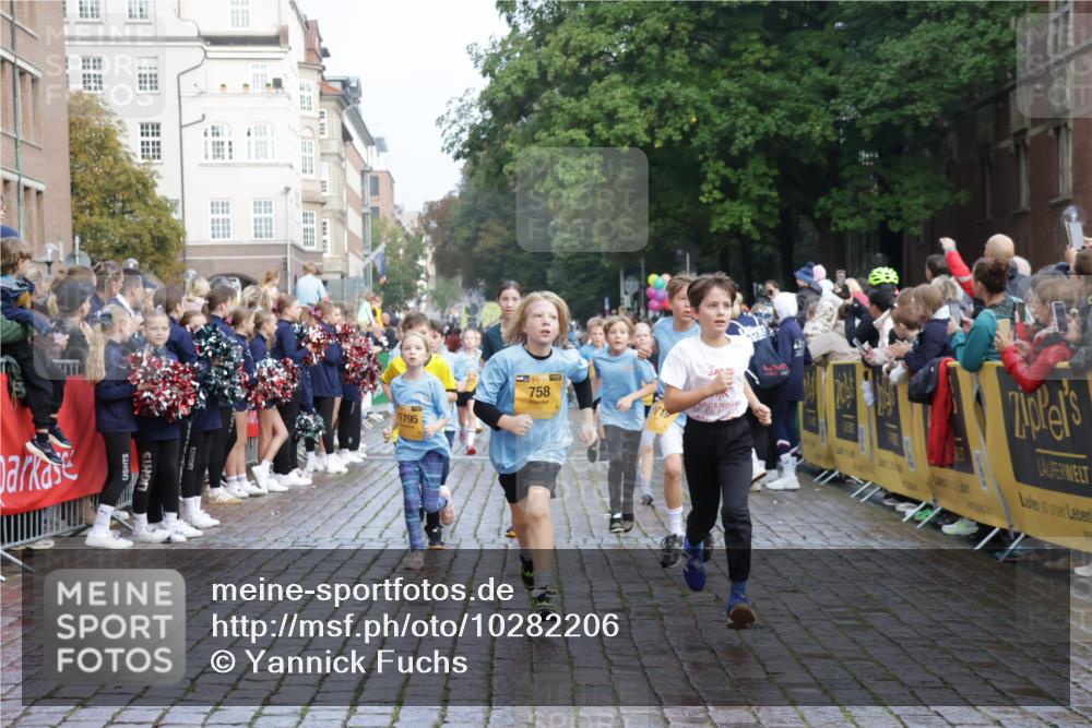 13.09.2026 - Kiel Lauf Yannick Fuchs http://msf.ph/oto/10282206 13.09.2026 08:56:09 Ziel 74, 76, 234, 669, 808, 1126, 1346, 1444, 1581, 2143, 2197, 2685, 3179, 3350, 3409, 3454, 5012, 5259, 5687, 5759, 6003, 6212, 6232, 6738, 7155, 7390, 7489, 7816, 8527, 9374, 9930, 9935, 10803, 11376, 11995, 12138, 12242, 12557, 277, 547, 645, 1150, 1160, 1249, 1310, 1712, 2453, 2711, 2998, 3253, 3358, 3409, 4122, 4545, 4682, 4755, 5289, 5297, 5547, 5781, 5876, 6290, 7748, 7929, 9033, 9302, 10227, 10271, 10818, 11439, 11657, 12712, 3750, 4023, 5545, 5823, 329, 7207, 7601 meine-sportfotos.de