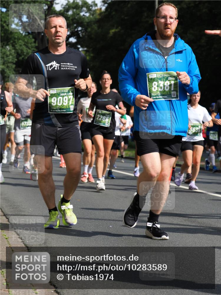 13.09.2026 - 21. swb-Marathon Bremen TobiasT http://msf.ph/oto/10283589 13.09.2026 12:05:32 Laufen 5733, 9091, 21, 26, 2286, 8381, 21, 26, 3635 meine-sportfotos.de