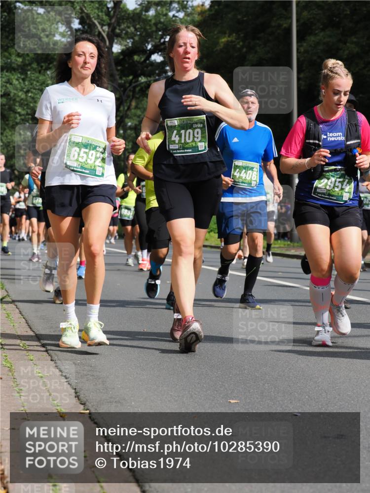13.09.2026 - 21. swb-Marathon Bremen TobiasT http://msf.ph/oto/10285390 13.09.2026 12:12:18 Laufen 6592, 26, 4109, 5991, 21, 4406, 2954 meine-sportfotos.de