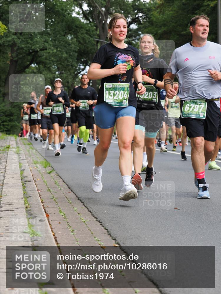 13.09.2026 - 21. swb-Marathon Bremen TobiasT http://msf.ph/oto/10286016 13.09.2026 12:16:23 Laufen 9919, 889, 3518, 13204, 203, 7429, 131, 6797 meine-sportfotos.de