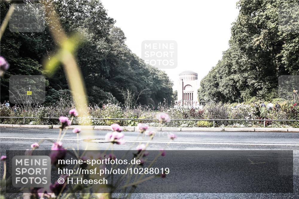 13.09.2026 - Stadtparktriathlon H.Heesch http://msf.ph/oto/10288019 13.09.2026 11:27:07 Radfahren 600, 726 meine-sportfotos.de