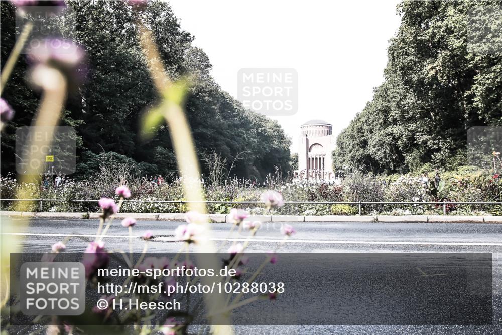 13.09.2026 - Stadtparktriathlon H.Heesch http://msf.ph/oto/10288038 13.09.2026 11:27:11 Radfahren 595, 600, 726 meine-sportfotos.de