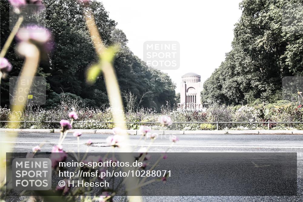13.09.2026 - Stadtparktriathlon H.Heesch http://msf.ph/oto/10288071 13.09.2026 11:27:16 Radfahren 595, 619, 793, 798 meine-sportfotos.de