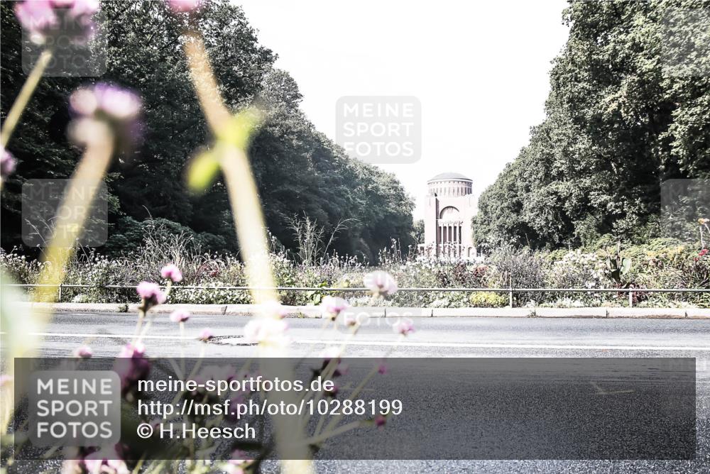 13.09.2026 - Stadtparktriathlon H.Heesch http://msf.ph/oto/10288199 13.09.2026 11:28:15 Radfahren 630, 635, 670, 720, 733, 815 meine-sportfotos.de