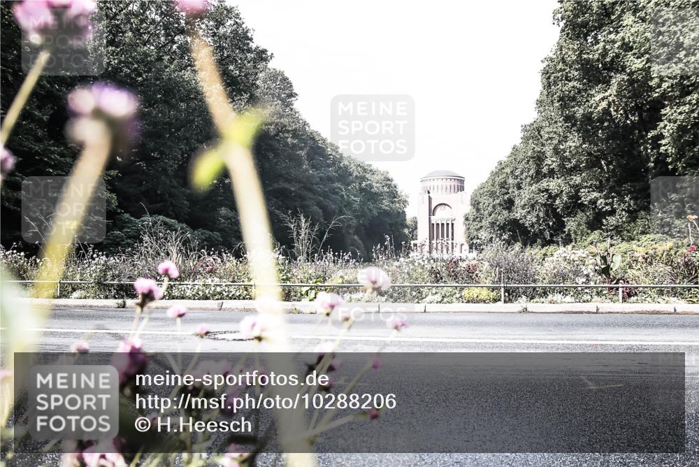 13.09.2026 - Stadtparktriathlon H.Heesch http://msf.ph/oto/10288206 13.09.2026 11:28:15 Radfahren 630, 635, 670, 720, 733, 815 meine-sportfotos.de