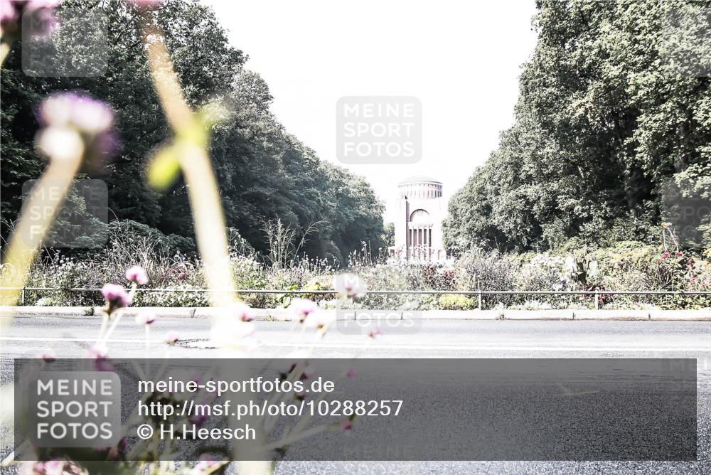 13.09.2026 - Stadtparktriathlon H.Heesch http://msf.ph/oto/10288257 13.09.2026 11:28:40 Radfahren 666 meine-sportfotos.de