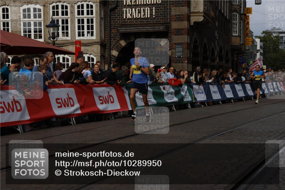 13.09.2026 - 21. swb-Marathon Bremen Strokosch-Dieckow http://msf.ph/oto/10289950 13.09.2026 10:44:38 Ziel 10956, 11108, 11148, 11438, 11644, 11758, 10266, 10628, 11692, 11704, 12302, 12425 meine-sportfotos.de