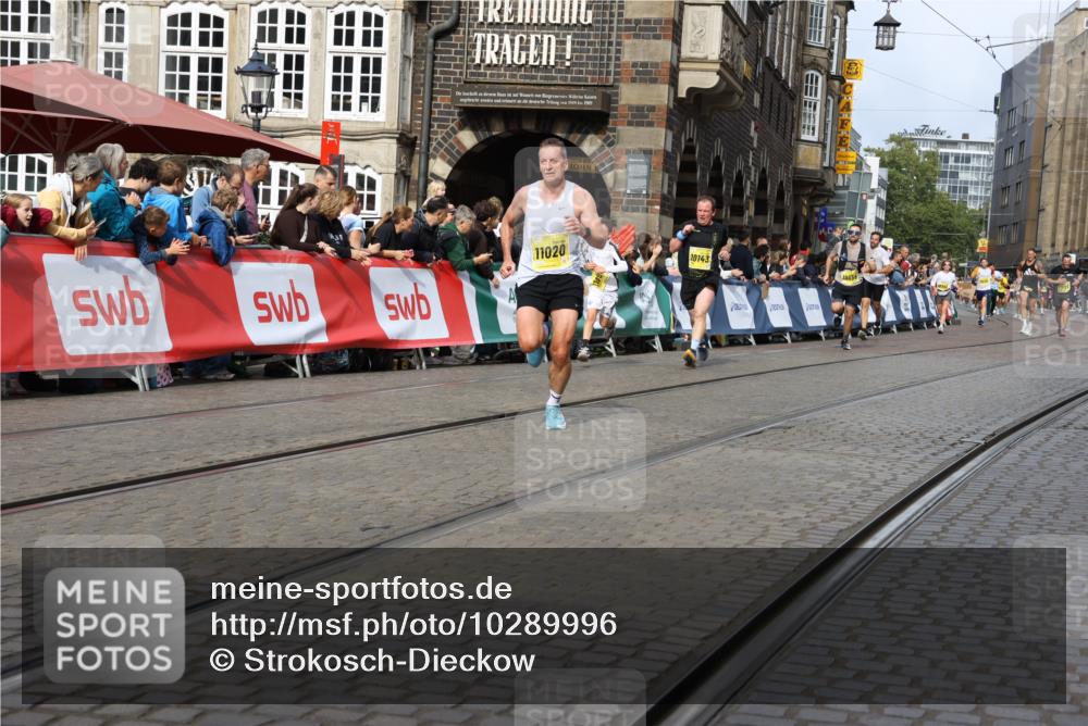 13.09.2026 - 21. swb-Marathon Bremen Strokosch-Dieckow http://msf.ph/oto/10289996 13.09.2026 10:45:22 Ziel 10096, 10214, 10266, 10628, 10735, 11020, 13591, 10318, 10352, 10536, 10583, 11088, 11209, 11232, 11478, 11749, 11835, 12290, 12355, 12534, 13628 meine-sportfotos.de