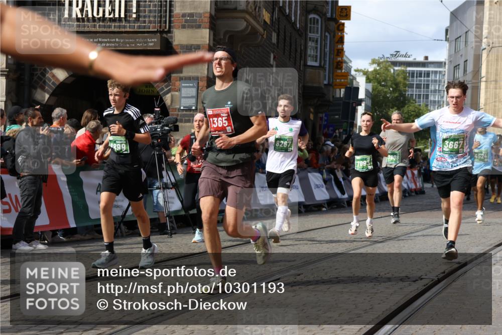 13.09.2026 - 21. swb-Marathon Bremen Strokosch-Dieckow http://msf.ph/oto/10301193 13.09.2026 13:29:50 Ziel 132, 1083, 1243, 1365, 1387, 1581, 2076, 2301, 2742, 2957, 3030, 3258, 3721, 3846, 4541, 4576, 5244, 5599, 6006, 6103, 6384, 6499, 6690, 6930, 7013, 7384, 7426, 7631, 7649, 8007, 8009, 8066, 8099, 8277, 8338, 8481, 8594, 8675, 8831, 9889, 10013, 13031, 109, 454, 1173, 1205, 1308, 1611, 1653, 1759, 1780, 1848, 2126, 3190, 3908, 4524, 5039, 5198, 5348, 5631, 6720, 7093, 8110, 8267, 8470, 8899, 9104, 9125 meine-sportfotos.de