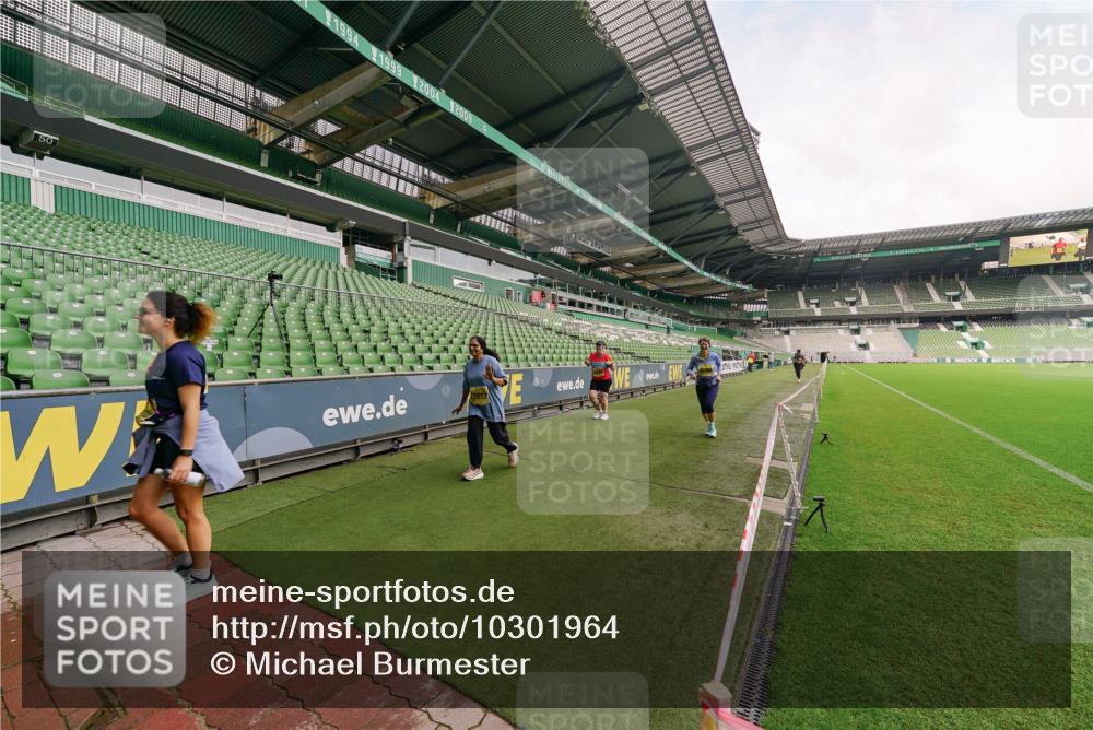 13.09.2026 - 21. swb-Marathon Bremen Michael Burmester http://msf.ph/oto/10301964 13.09.2026 10:52:20 Laufen im Stadion 10317, 10387, 10533, 10534, 10650, 10967, 10968, 11017, 11025, 11161, 11195, 11341, 11352, 11444, 11496, 11538, 11807, 12377, 12408, 12416, 12535, 12546, 10264, 10292, 10407, 10413, 10440, 10732, 10754, 10789, 10925, 11104, 11254, 11262, 11423, 11443, 11541, 11698, 11712, 11851, 11942, 11980, 12083, 12440, 12444, 12471, 12472, 12542, 12561 meine-sportfotos.de