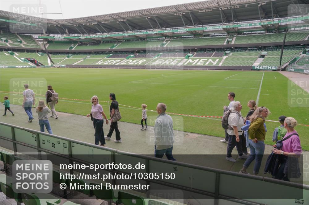 13.09.2026 - 21. swb-Marathon Bremen Michael Burmester http://msf.ph/oto/10305150 13.09.2026 11:21:01 Laufen im Stadion  meine-sportfotos.de