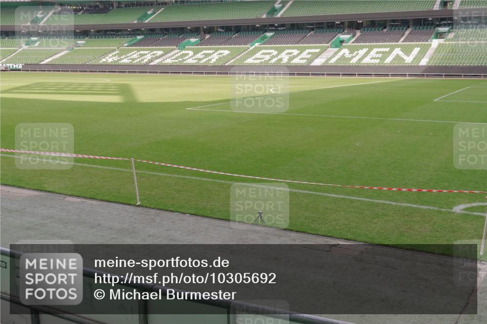13.09.2026 - 21. swb-Marathon Bremen Michael Burmester http://msf.ph/oto/10305692 13.09.2026 11:55:59 Laufen im Stadion 133 meine-sportfotos.de