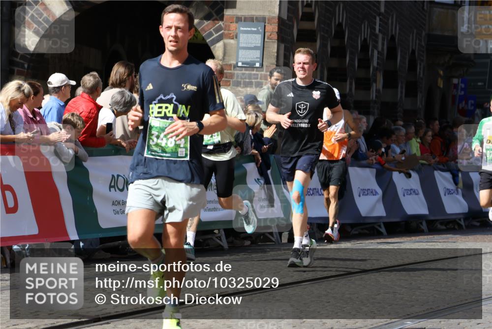 13.09.2026 - 21. swb-Marathon Bremen Strokosch-Dieckow http://msf.ph/oto/10325029 13.09.2026 13:11:07 Ziel 384, 1181, 1385, 1498, 1554, 2347, 2759, 4023, 4475, 4571, 4727, 5066, 5152, 5155, 5168, 5314, 5387, 5648, 7115, 7136, 9659, 13248, 1349, 2087, 3440, 3448, 3484, 4429, 6274, 8474, 9291, 9618, 9762 meine-sportfotos.de