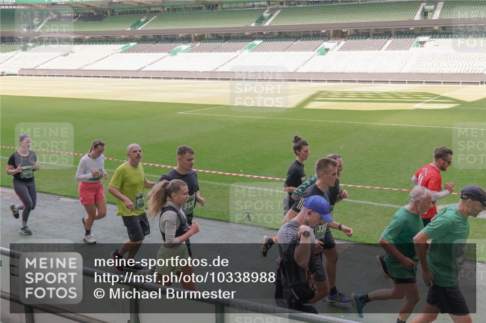 13.09.2026 - 21. swb-Marathon Bremen Michael Burmester http://msf.ph/oto/10338988 13.09.2026 13:17:35 Laufen im Stadion 134, 153, 231, 267, 271, 311, 404, 449, 588, 732, 753, 837, 990, 1057, 1185, 1312, 1424, 1425, 1465, 1539, 1790, 1813, 1825, 1844, 1868, 1987, 2056, 2067, 2096, 2123, 2259, 2351, 2357, 2358, 2363, 2381, 2389, 2419, 2532, 2550, 2562, 2579, 2586, 2601, 2614, 2647, 2655, 2778, 2797, 2799, 2821, 2849, 2880, 2893, 2974, 2984, 2996, 2999, 3104, 3146, 3180, 3195, 3210, 3213, 3314, 3337, 3366, 3387, 3421, 3431, 3476, 3479, 3501, 3506, 3537, 3548, 3633, 3654, 3740 meine-sportfotos.de