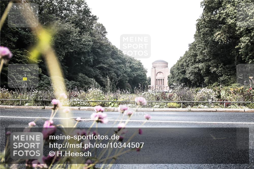 13.09.2026 - Stadtparktriathlon H.Heesch http://msf.ph/oto/10344507 13.09.2026 10:50:00 Radfahren 423, 447 meine-sportfotos.de