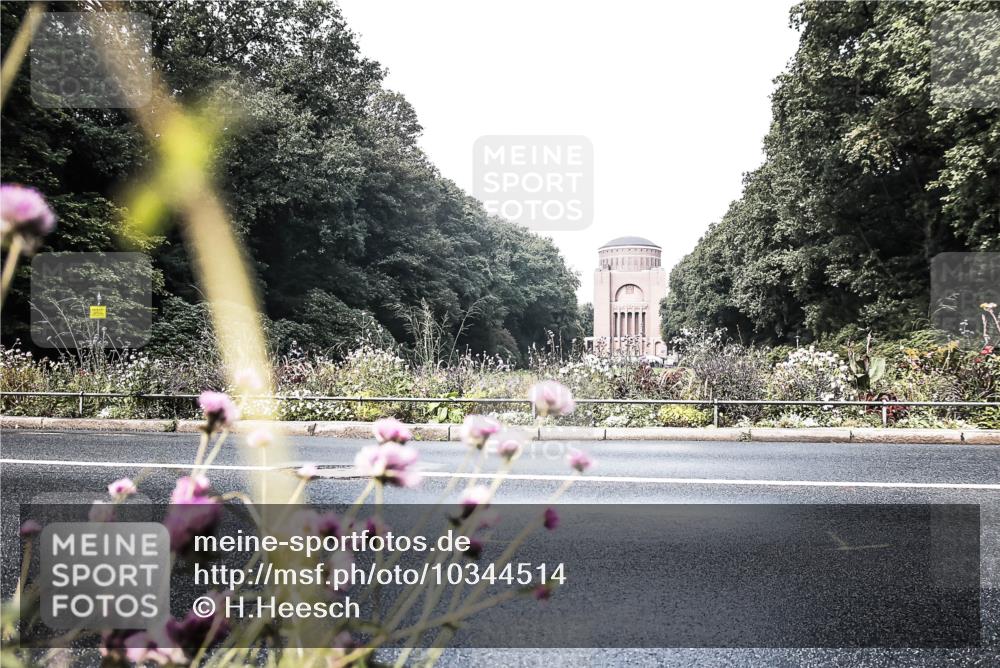 13.09.2026 - Stadtparktriathlon H.Heesch http://msf.ph/oto/10344514 13.09.2026 10:50:01 Radfahren 359, 423 meine-sportfotos.de