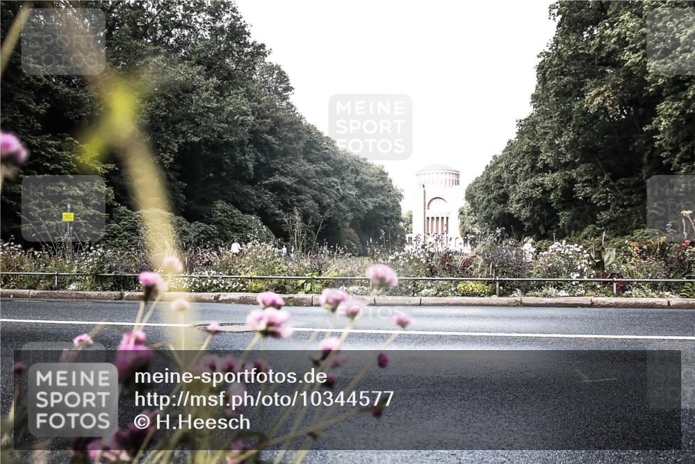 13.09.2026 - Stadtparktriathlon H.Heesch http://msf.ph/oto/10344577 13.09.2026 10:50:33 Radfahren 480, 555, 583 meine-sportfotos.de