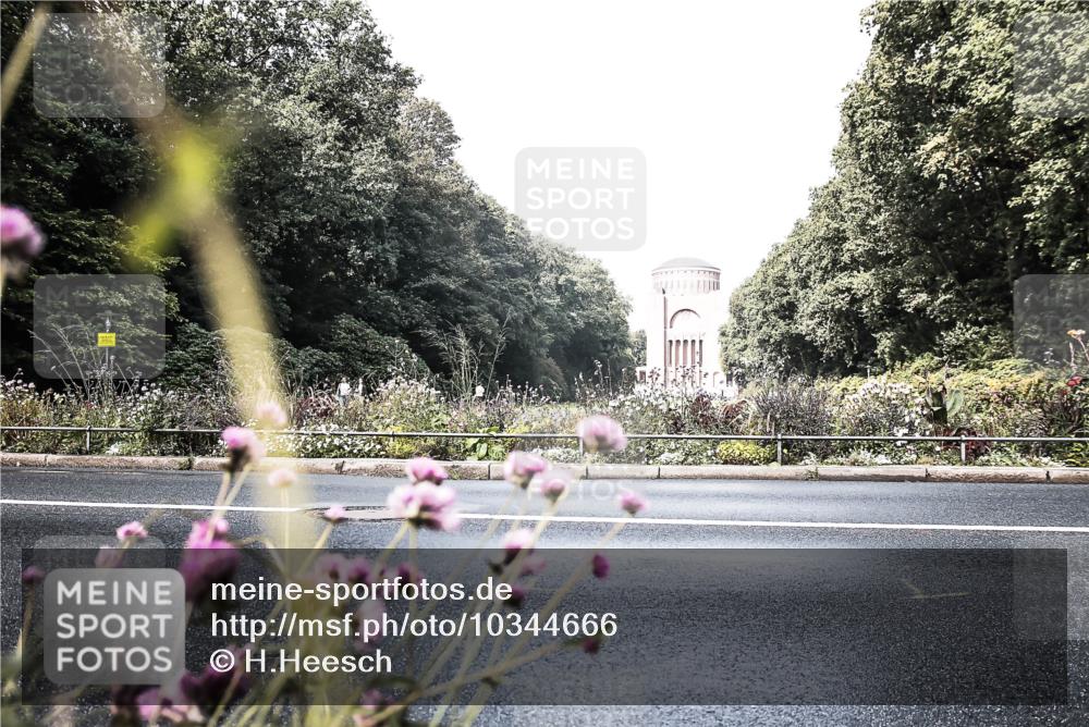 13.09.2026 - Stadtparktriathlon H.Heesch http://msf.ph/oto/10344666 13.09.2026 10:50:49 Radfahren 366, 530 meine-sportfotos.de