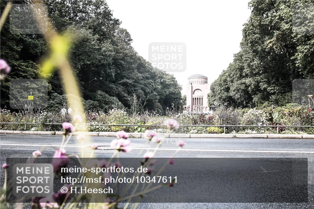 13.09.2026 - Stadtparktriathlon H.Heesch http://msf.ph/oto/10347611 13.09.2026 11:16:33 Radfahren 481, 482, 676, 691, 790 meine-sportfotos.de